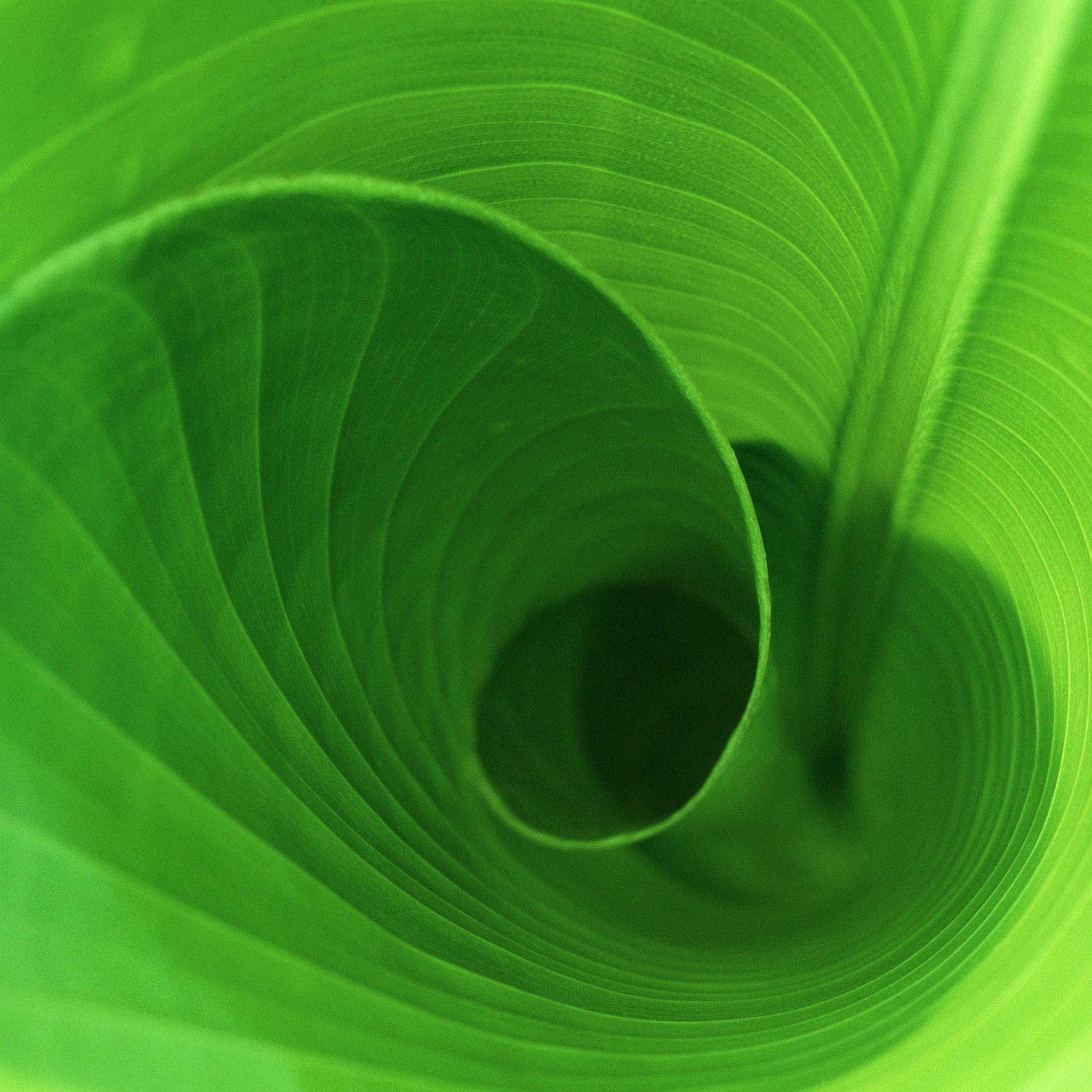 Swirl Leaf