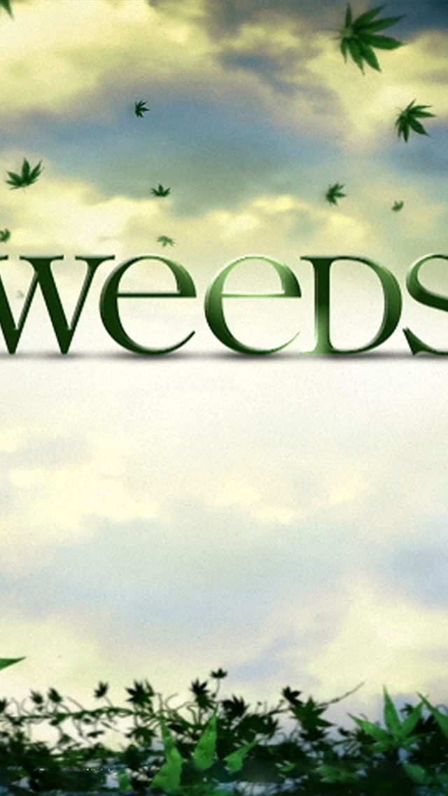 Weed Logo Wallpaper
