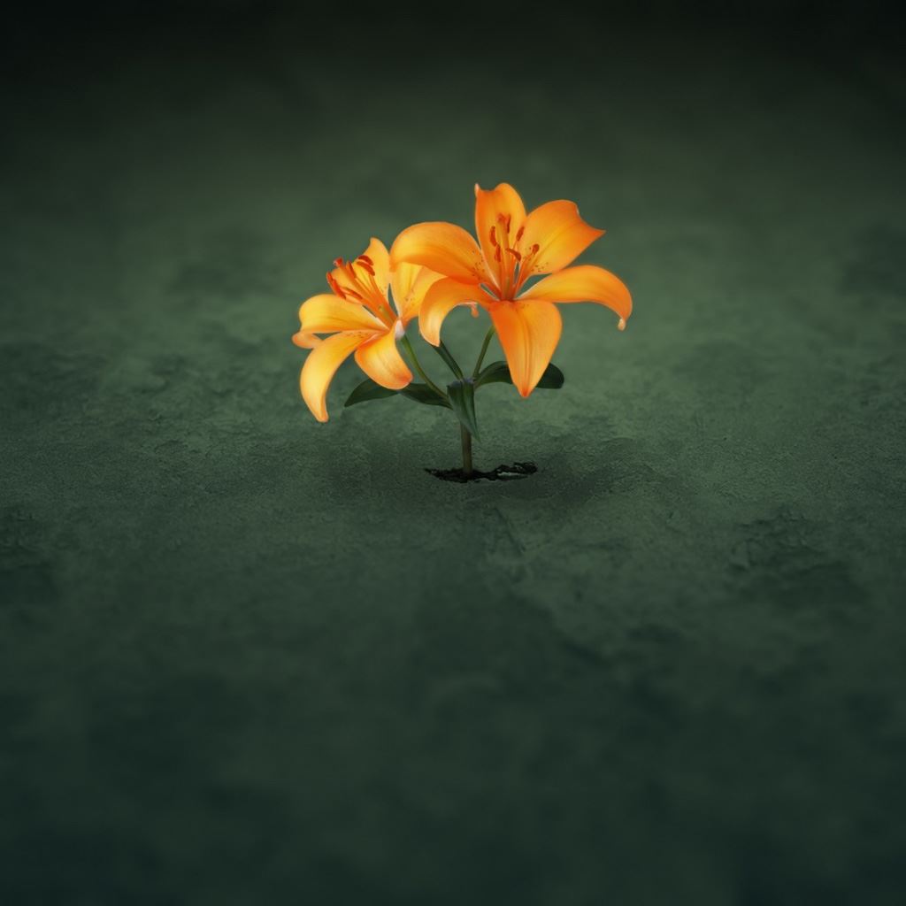 Orange Flowers iPad Wallpaper Download | iPhone Wallpapers, iPad