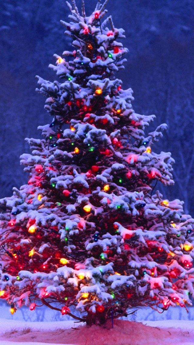 Christmas Tree iPhone se Wallpaper Download | iPhone Wallpapers, iPad